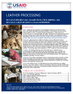 Micro and Small Enterprises: Leather Processing